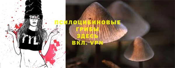 крисы Верхний Тагил