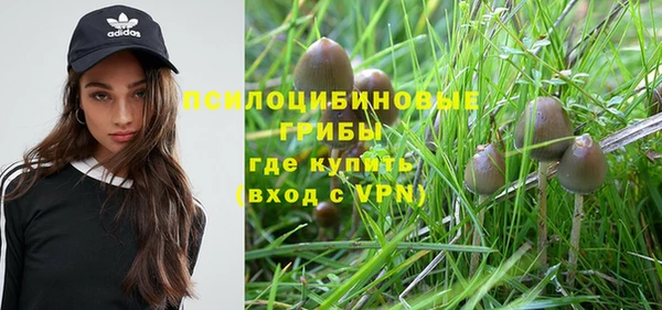 альфа пвп Бородино