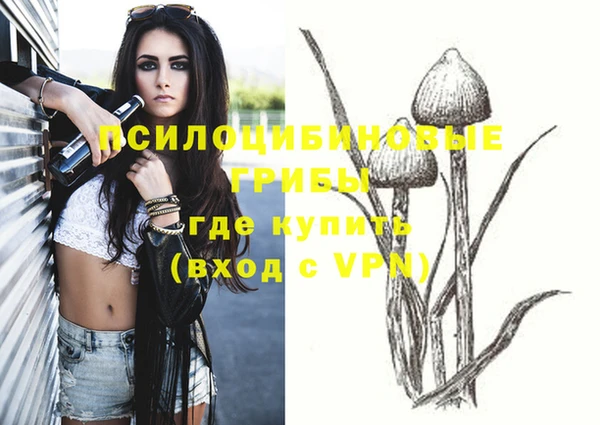 спиды Бугульма