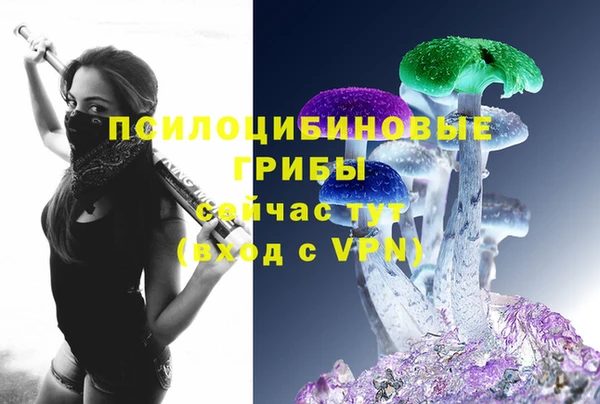 прущая мука Верея